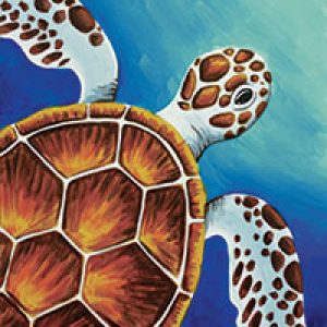 Sea Turtle Design Template