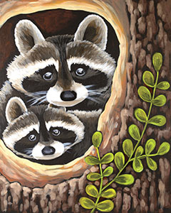 Canvas Class - Curious Raccoons