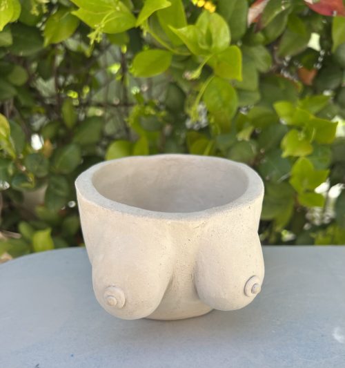 Boob Planter Hand-Building Class