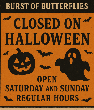 Closed Halloween