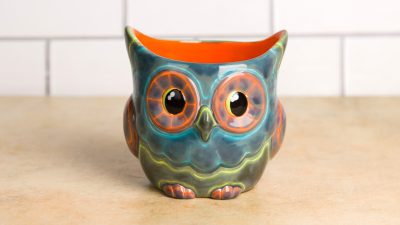 Neon Owl Planter Wax Resist Painting Techniques Class