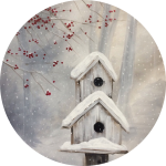 Home Tweet Home - Canvas Paint & Sip